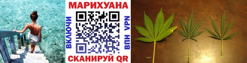 Конопля индика  Нестеровская 